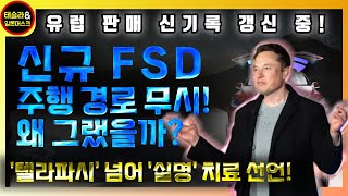 테슬라 자율주행의 이상행동?! 유럽 판매량 또 신기록!