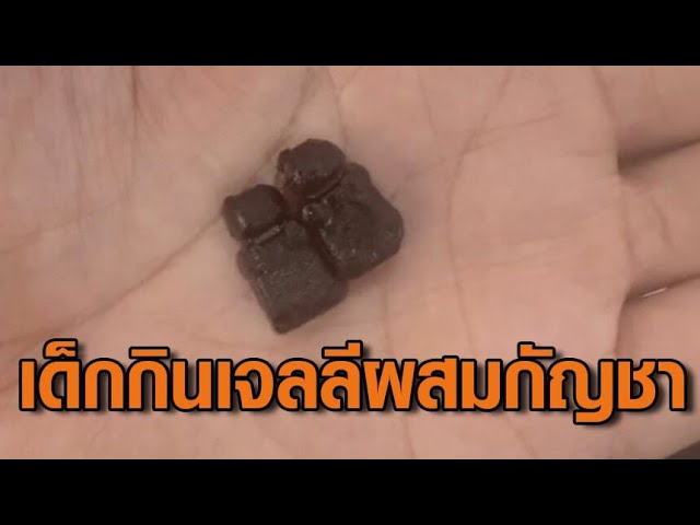 สมศักดิ์ กำชับ สสจ.-อย. เดินหน้ากวาดล้างสินค้ากัญชาเถื่อน หลังเด็ก 2 ข...