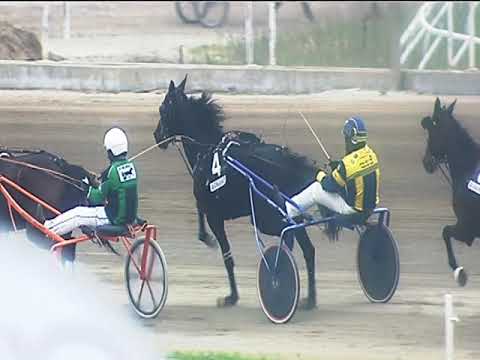 Trotto 22/04/2019 - 5ª corsa