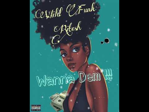 Wild Funk + #RitEsh - Wanna Dem