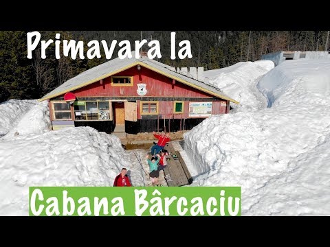 Drumetie la Cabana Barcaciu din Muntii Fagaras!