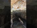 Gold Minors Discovered a Creature in This Cave