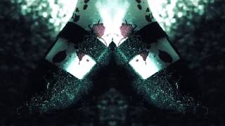 $UICIDE BOY$ - HUNG UP ON THE COME UP [MUSIC VIDEO] (Fan Made)