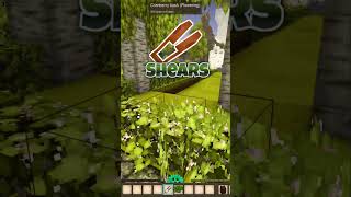 Download lagu KEEP the PERFECT BEST BERRY BUSHES!🍒[Vintage Story TIP] mp3