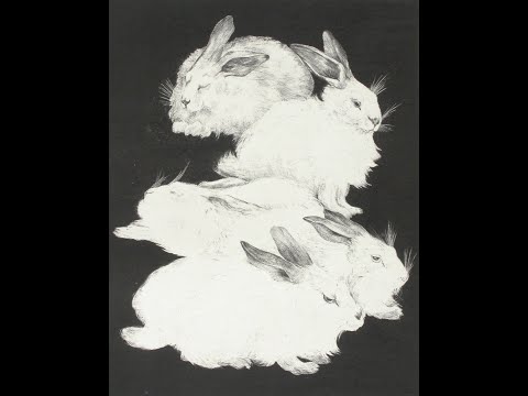 Órphans ( ryo takematsu  - Otömika ) - Usagi