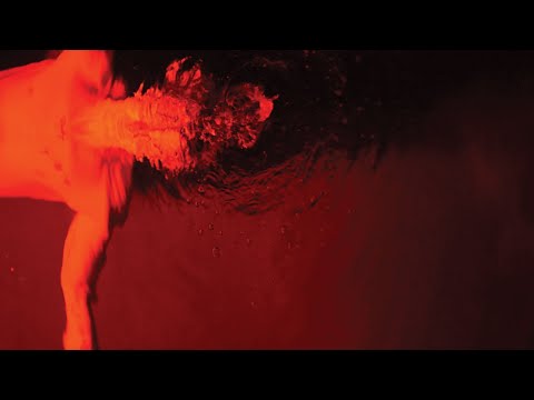 BLEED ON ME - DANIEL SEAVEY (LYRIC VIDEO)