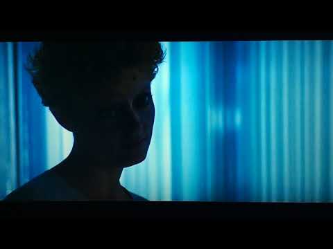 Lesbian Vampire Brilliance from The Hunger