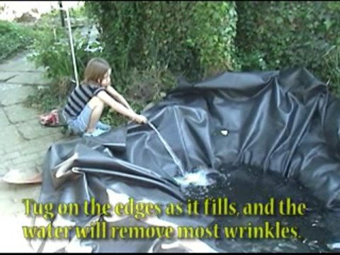 How to build a fish pond
