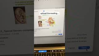 I can't believe this AI study tool exists... it literally have an exam tomorrow! - raena.ai