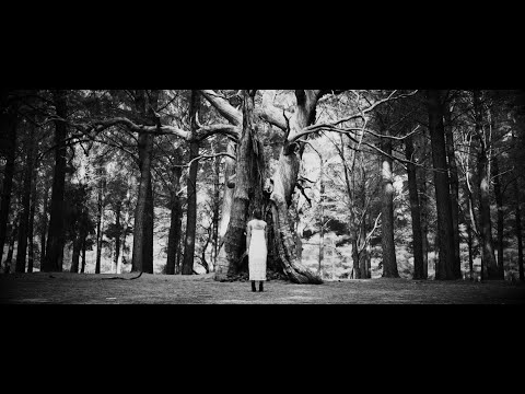 THEODOR BASTARD - Vetvi (official music video) 2021
