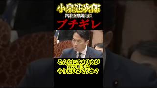 しつこい立憲議員にキレる小泉進次郎 #shorts #shortsfeed #政治 #議会 #国会 #自民党 #小泉進次郎