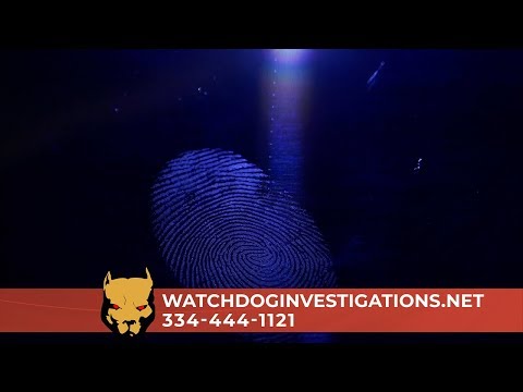 Alabama Private Investigator - Watchdog Investigations - Alabama Private Investigator