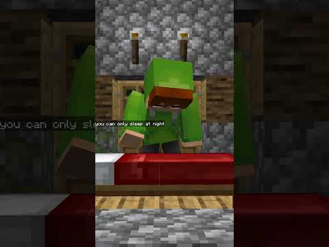 can't sleep animation - prisma 3d (Minecraft Animation)