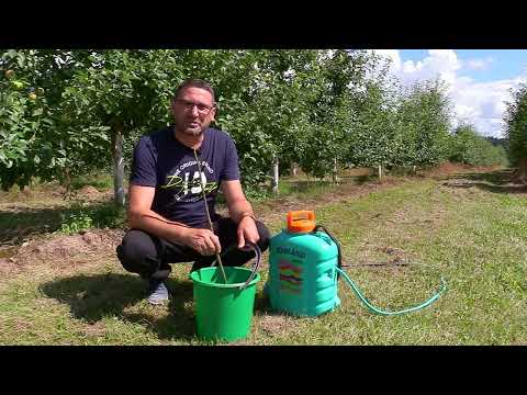 СадОгород / 30.07.2024