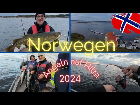 Angeln in Norwegen auf Hitra 2024 | Dorsch & Seelachs | Angelparadies