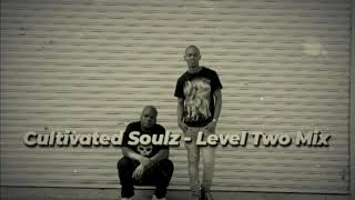 Cultivated Soulz- Level Two Mix