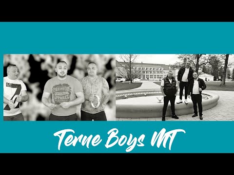 Terne Boys MT - RETRO MIX čardášov 2024 (cover)