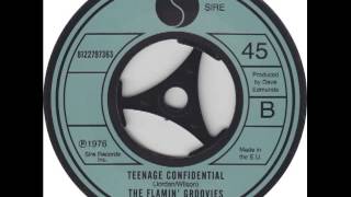The Flamin' Groovies  Teenage Confidential
