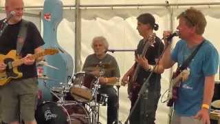 Ealing Blues Festival 2014