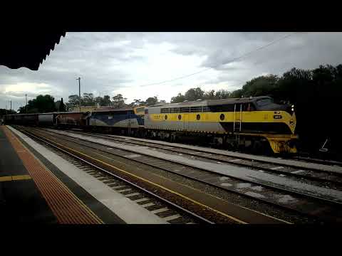 Loaded grain train from Woorinen south arriving in Swan Hill