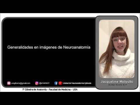 GENERALIDADES EN IMÁGENES DE NEUROANATOMÍA