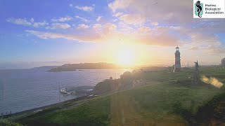 SurveillanceMap LIVE · Smeaton's Tower · Plymouth, England live webcam