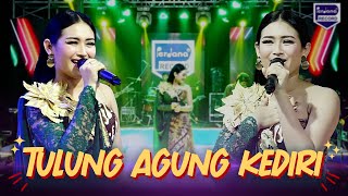Download lagu Shepin Misa - Tulungagung Kediri - New Andrena mp3