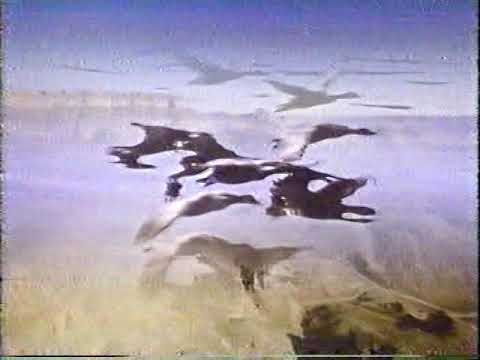 Longlost Music Video: Jerry Goodman "On the Future of Aviation" 1985