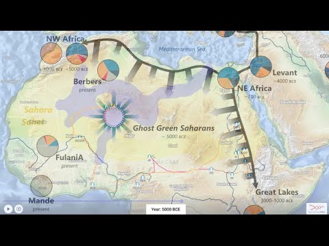 Y Haplogroup E-M2 in Green Saharan Genome🧬