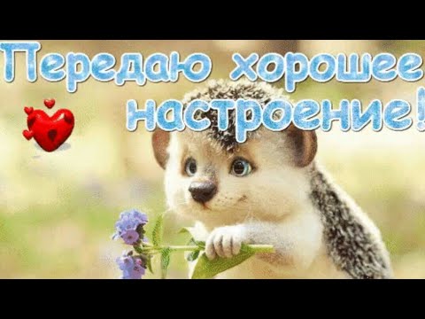 #доброеутречко#хорошеенастроение# Доброе утро!!!