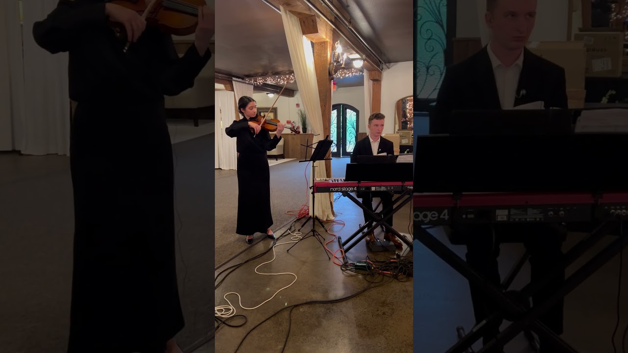 Promotional video thumbnail 3 for Sofia Sednef Violin
