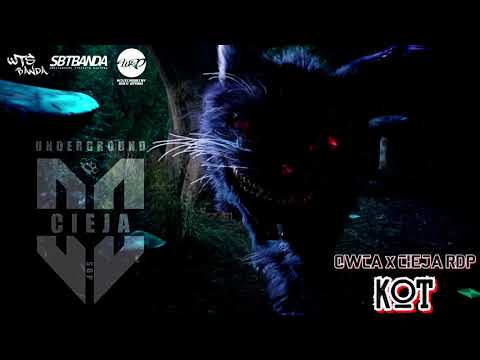 OWCA ft. CIEJA RDP - KOT