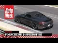 Porsche 911 Speedster -  Spionage