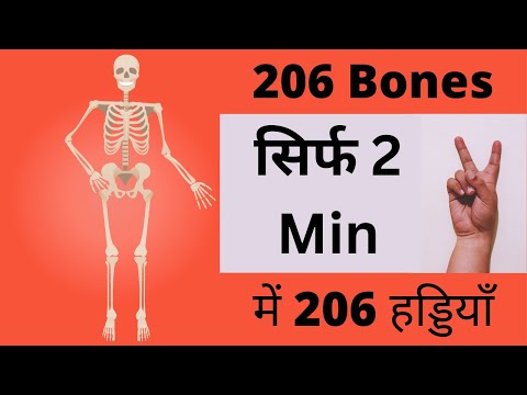 Bones of Human Body | 206 Bones Name in Human body | Hindi