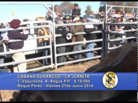 Cabaña Surangus - Arzoz Haciendas S.A. - Roque Pérez - 27/06/2014