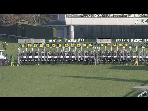 2021 Queen Elizabeth II Cup (G1) | JRA Official