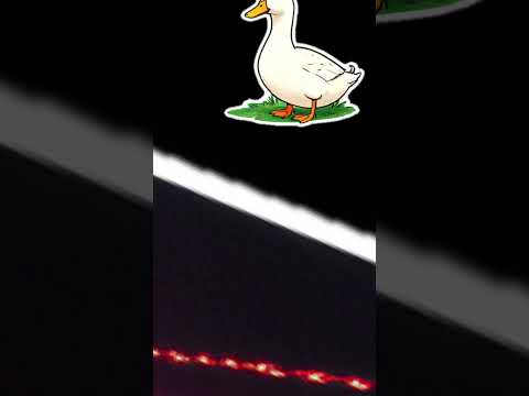 TikTok trends in during to 20’s (2020 to be specific)