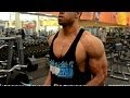 TeamHercules Arms And Abs Workout Hodgetwins