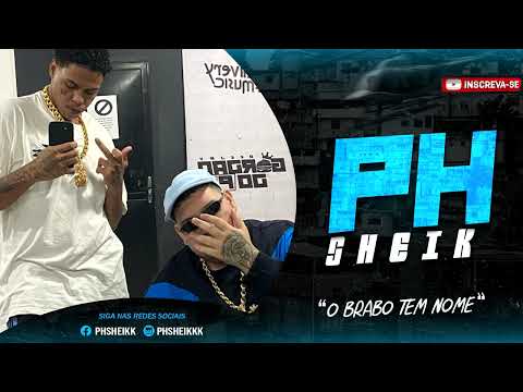 SEQUÊNCIA DO TIMÃO E PUMBA 1,2,3 - GORDÃO DO PC E DJ ZL