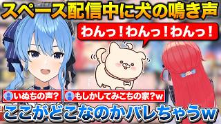 いぬちの鳴き声でみこちの家にいる事がバレるすいちゃん【ホロライブ/星街すいせい/さくらみこ/切り抜き】