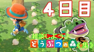【あつ森】雑談しようよ、どうぶつの森《集》【実況】 ４日目