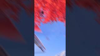 秋の国内人気観光地ランキング😊🍂#旅行 #国内旅行 #観光地 #秋 #旅行好きな人と繋がりたい