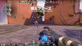 【VALORANT】のんびりとやるよ