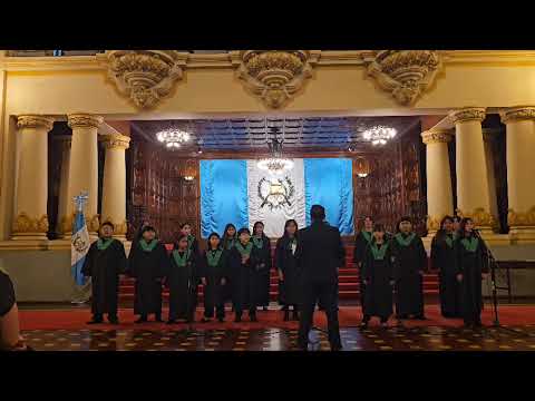 Wolfgang Amadeo (Wolfango Amedeo)