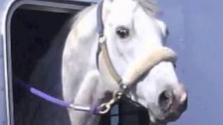 EL NUEVO COMANDANTE - OSCAR SOLIS Y SU BANDA MAGISTRAL