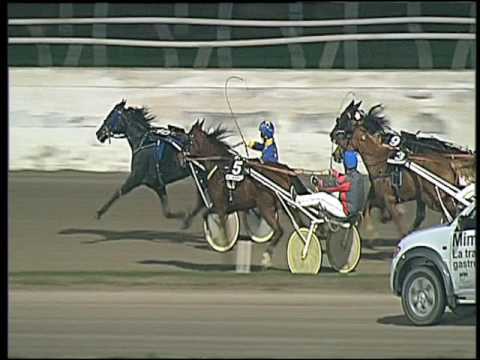 Trotto 11/11/2016 - 5ª corsa