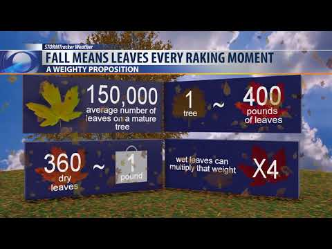 Evening forecast for October 11, 2019