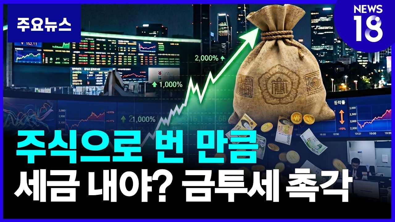 금투세, 2026년 대한민국 증시를 뒤흔든 '뜨거운 감자'의 현주소와 투자자들의 엇갈린 비명
