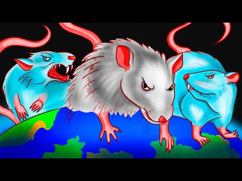 What If Giant Rats Overtook Cities and People Must Go Underground