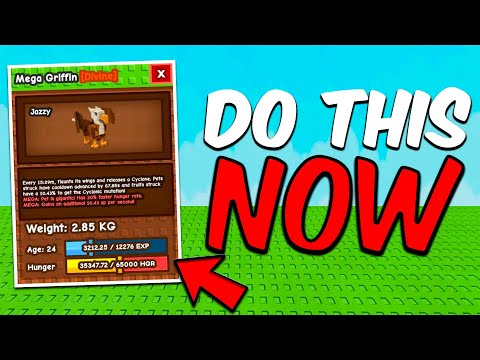 The JANDEL VS SAMMY UPDATE Will Make YOU RICH! (Grow a Garden)